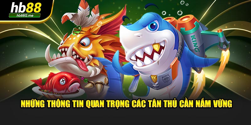 Những thông tin quan trọng các tân thủ cần nắm vững