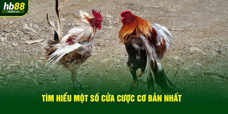 Tìm hiểu một số cửa cược cơ bản nhất